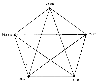 Fig.1. Rough diagram of direct synesthetic ties
between external sensations.