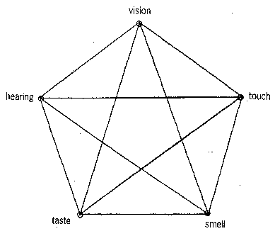 Fig.1. Rough diagram of direct synesthetic ties
between external sensations.