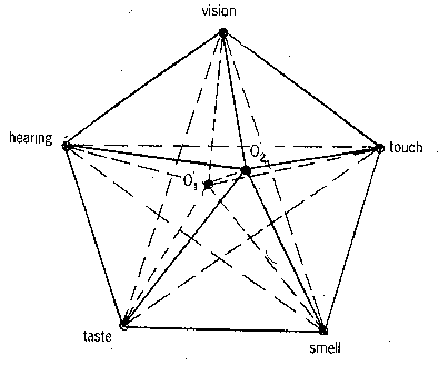 Fig.2. Detailed diagram of probable synesthetic ties
between external and internal sensations.